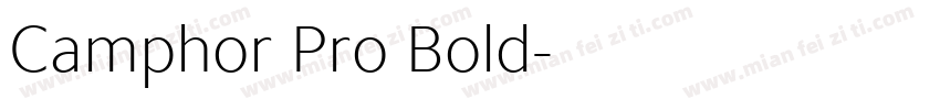 Camphor Pro Bold字体转换